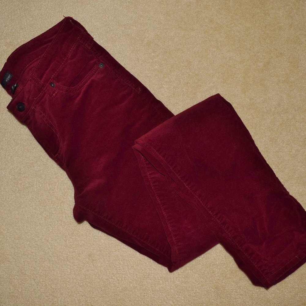 Stitch Fix Edyson Hampton Corduroys